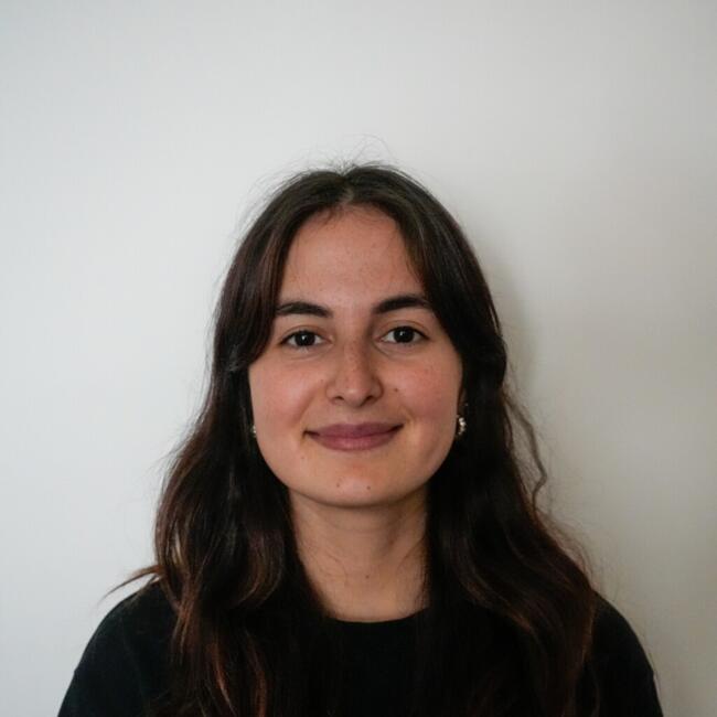 Babysitter in Aveiro: Joana