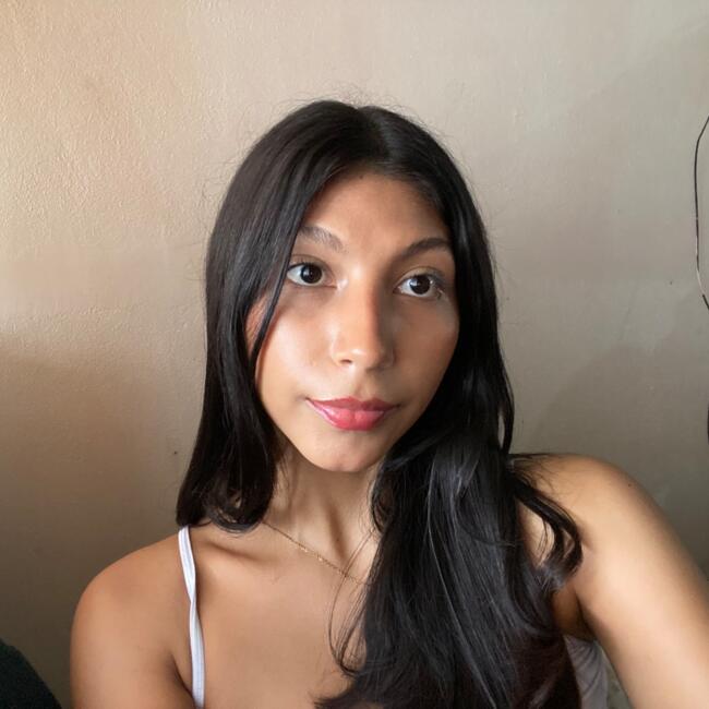 Babysitter in San José (Provincia de San José): Allison Vargas 