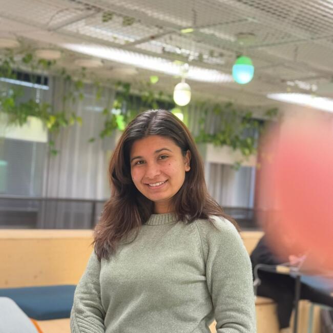 Babysitter in Lappeenranta: Rojina