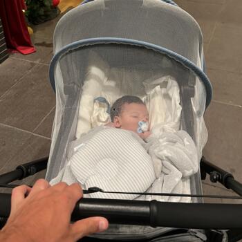 Emprego de babá em Palhoça: emprego de babá Antônio Pedro