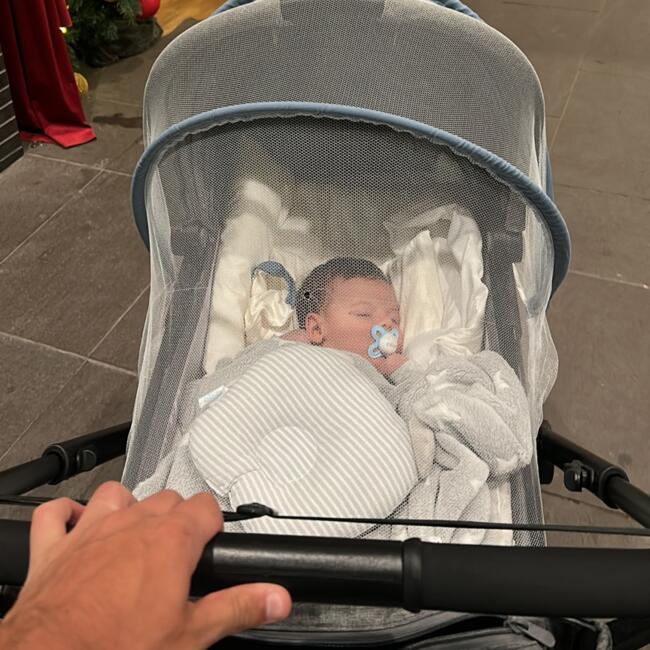 Babysitting job in Palhoça: Antônio Pedro