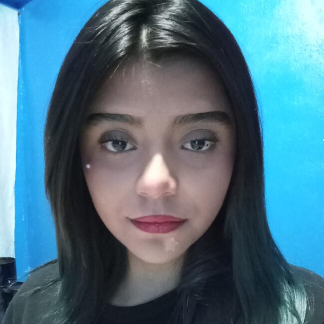 Babysitter in Ojo de Agua: Brenda