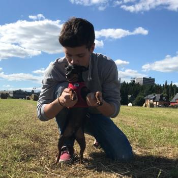 Lastenhoitaja Esch-sur-Alzette: Diogo