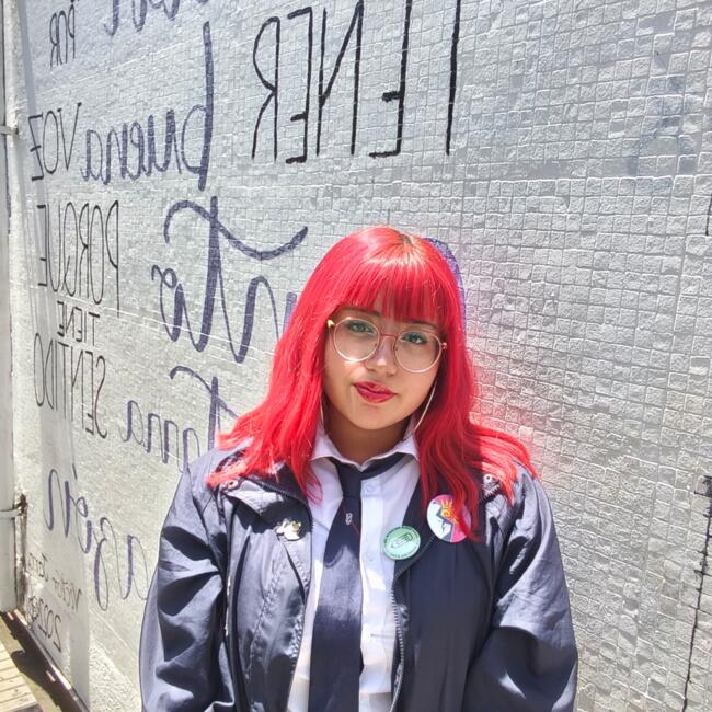 Niñera en Santiago de Chile: Valentina