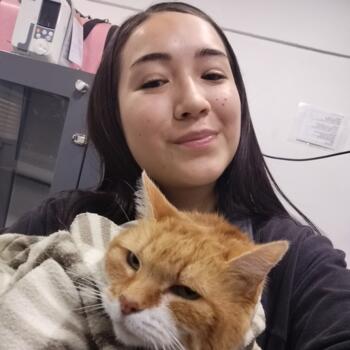 Babysitter in Puente Alto: Michelle