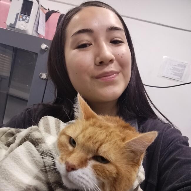 Babysitter in Puente Alto: Michelle