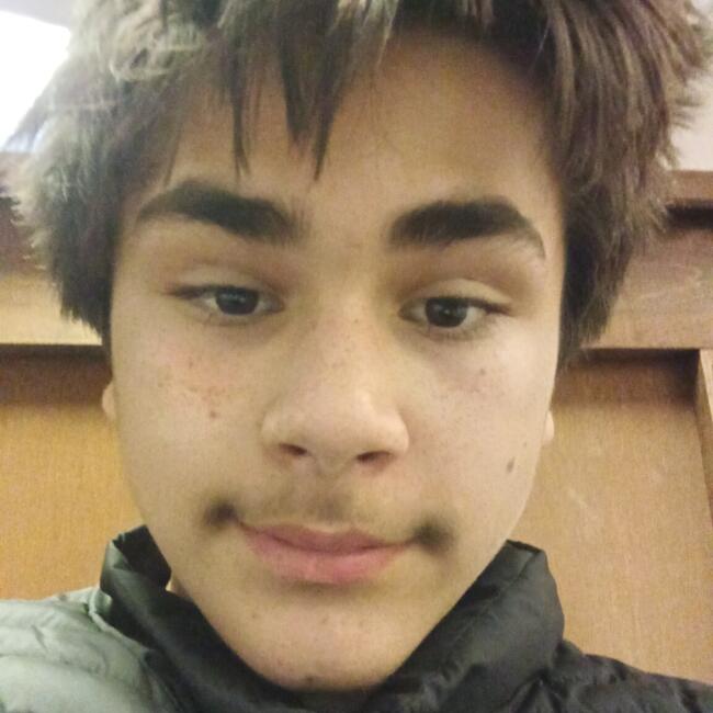 Babysitter in Port Orchard: Micah