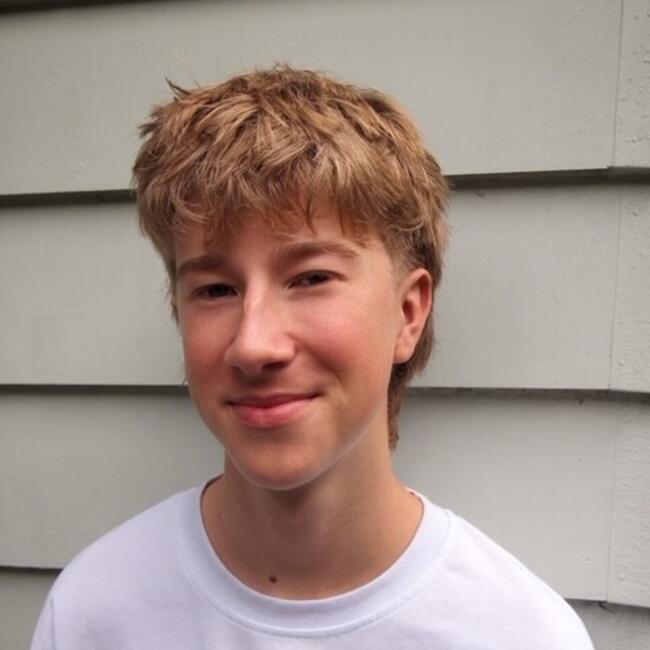 Babysitter in Auckland: Emmett