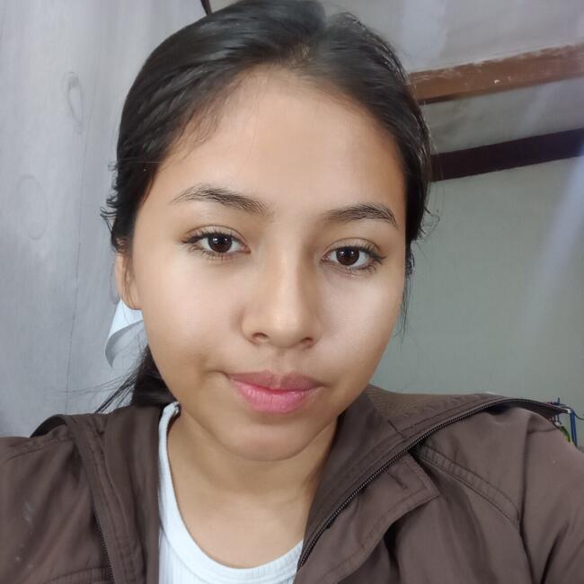 Niñera en Santa Cruz de la Sierra: AYASENI GONZALES