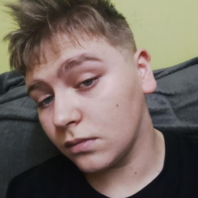 Opiekunka do dziecka w Bielsko-Biała: Alexey