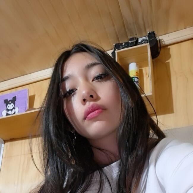 Niñera en San Fernando: Romina Rozas