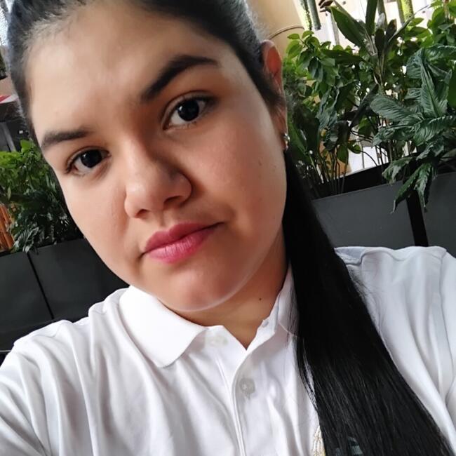 Babysitter in Villa del Rosario: Linda fernanda