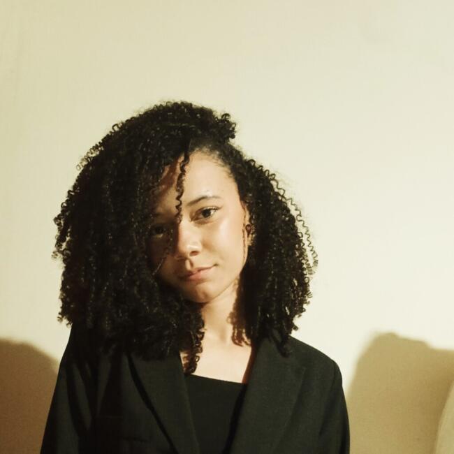 Babysitter in Presidente Prudente: Analiz