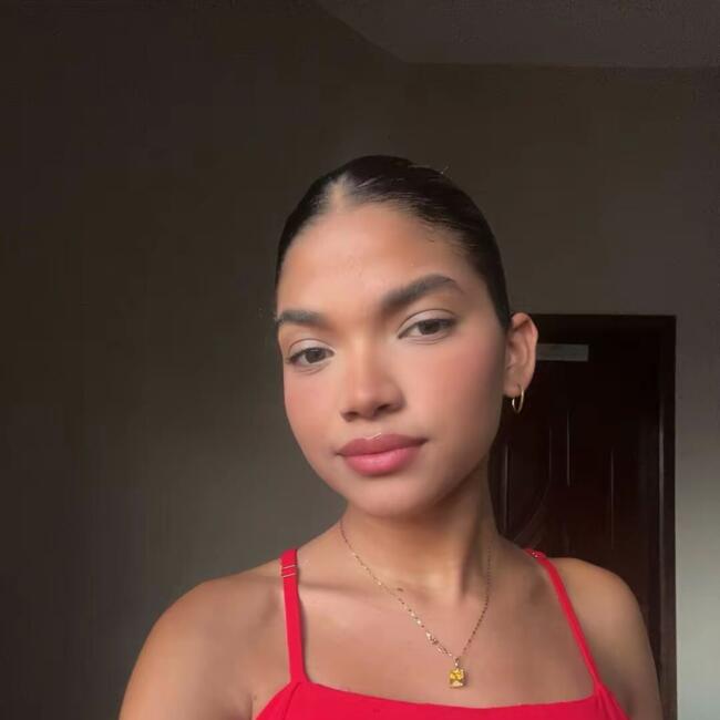 Babysitter in Santarém: Sandriely