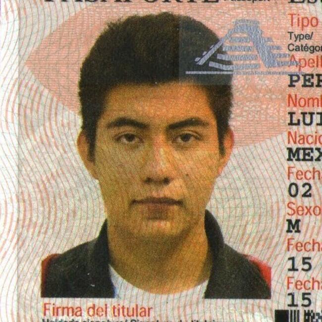 Babysitting job in Mexico City: Luis Andrés