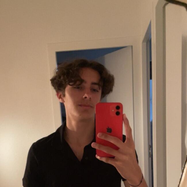 Babysitter in Bordeaux: Clement
