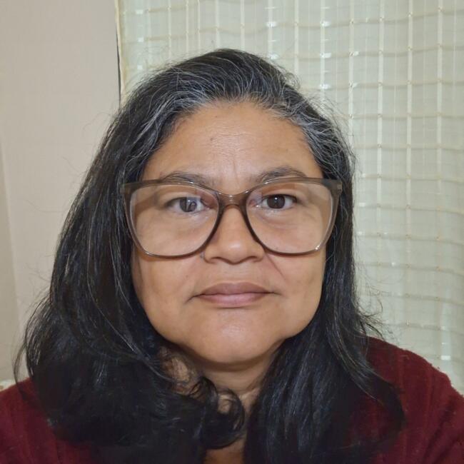 Babysitter in São José dos Pinhais: Ieda Maria