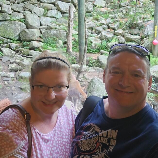 Babysitting job in Covington (Virginia): Jeff