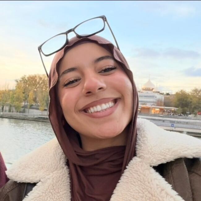 位于勒布朗-梅尼尔的临时保姆: Shiryn