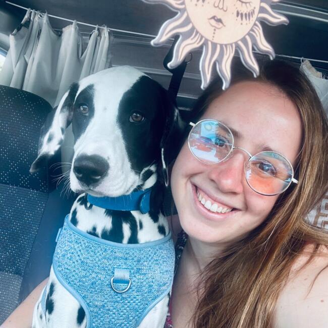 Babysitter in Wellington: Eliška