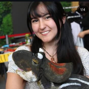 Niñera en Providencia: Rayen