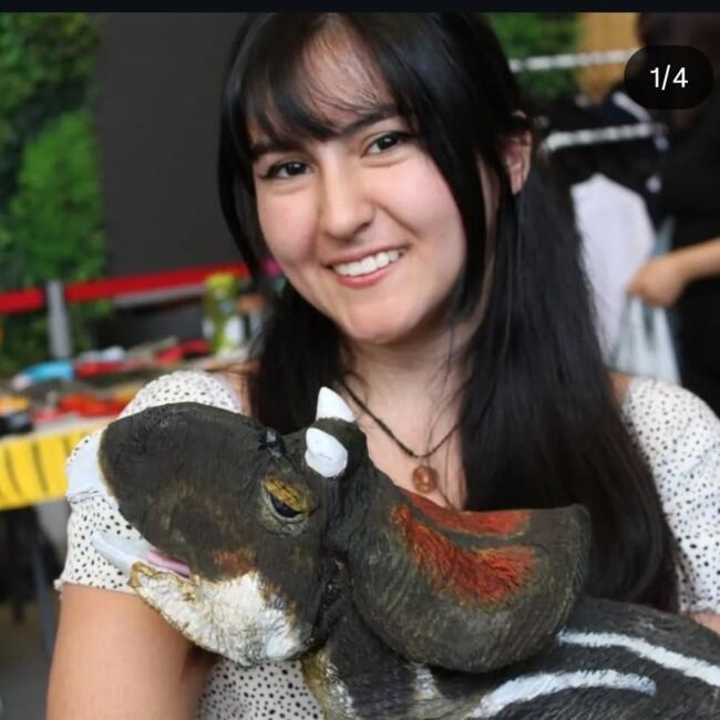 Babysitter in Providencia: Rayen