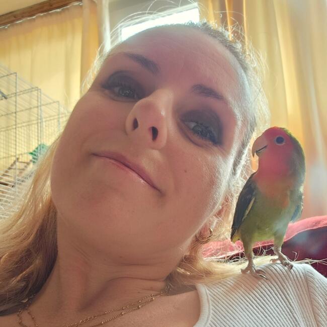Babysitting job in Queluz: Catarina