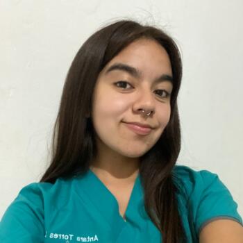 Babysitter in Santiago: Antara