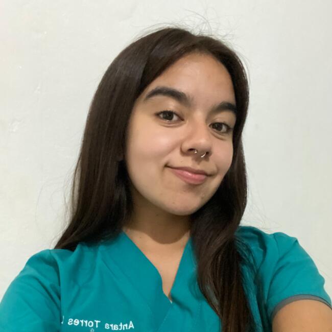 Babysitter in Santiago: Antara
