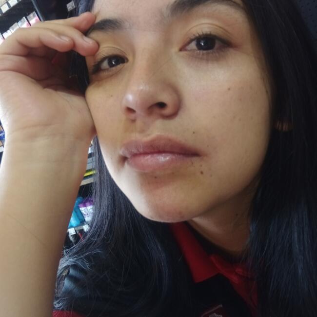 Trabajo para niñera en Cuautitlán Izcalli: Erika