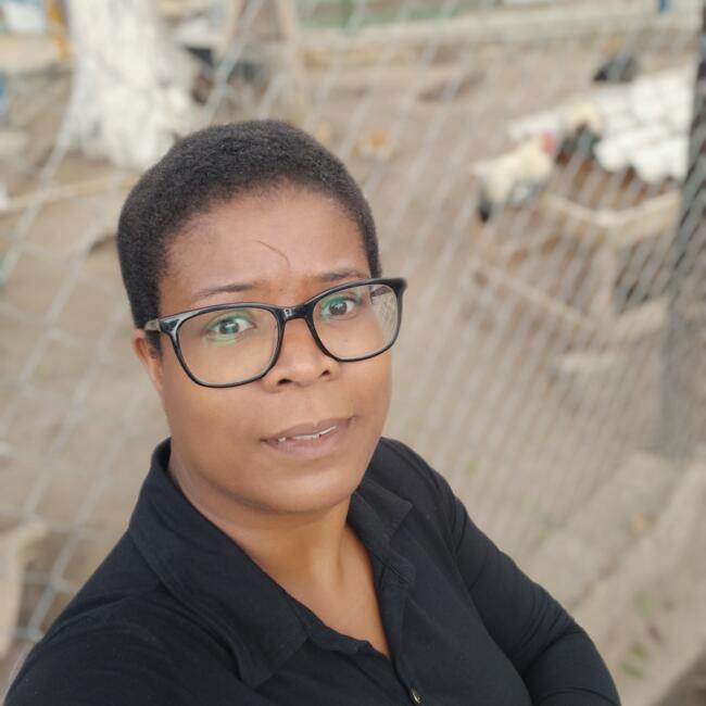 Babysitter in Cruzeiro: Ana lucia