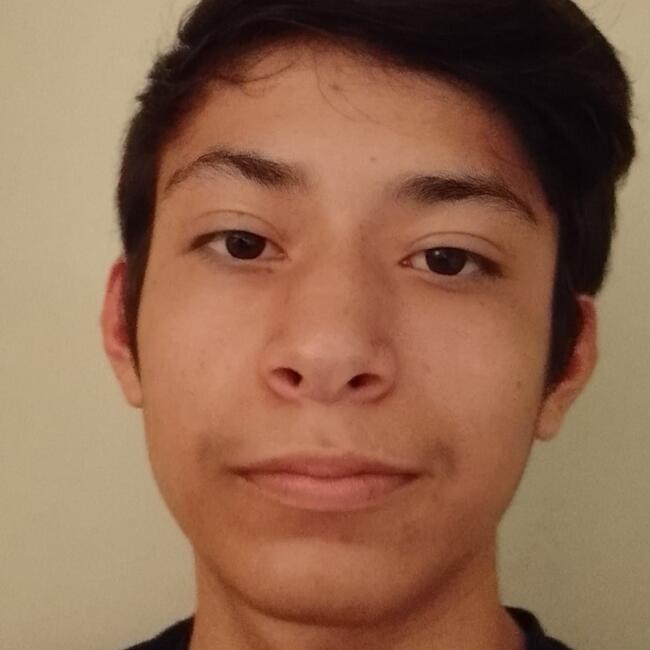 Babysitter in Nogales: Adiel