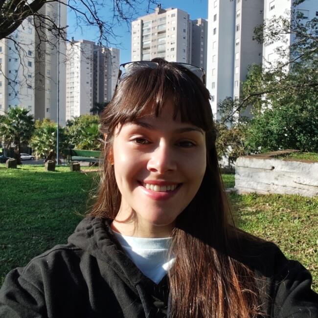 Babysitting job in Porto Alegre: .