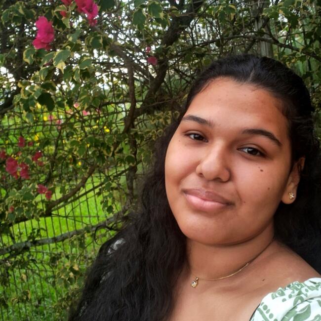 Babysitter in Biguaçu: Vitória