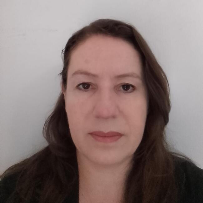 Babysitter em Damaia: Elizandra