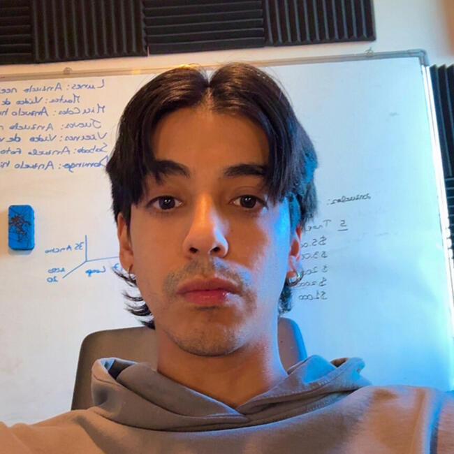 Babysitting job in Santiago: Carlos H