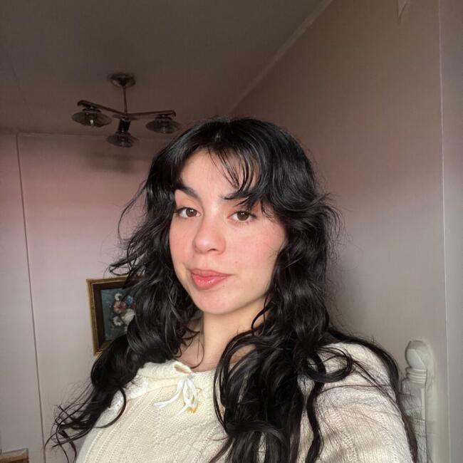Babysitter in Santiago: Ambar