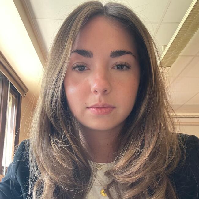 Babysitter in Biarritz: Romane