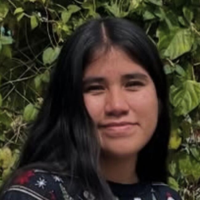 Babysitter in Querétaro City: Karen Navarro