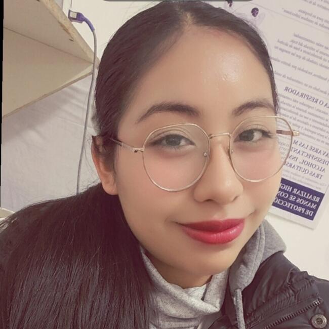 Babysitter in Pachuca: Wendy Nayelly