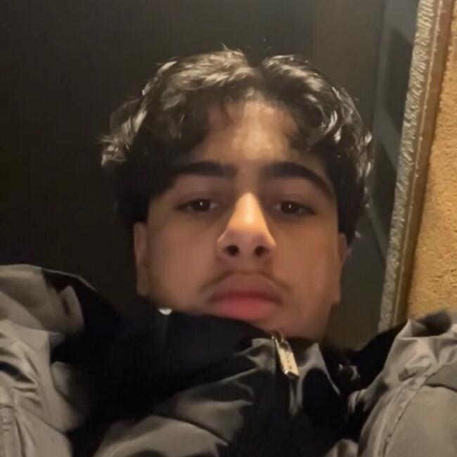 Babysitter in Mainz: Samer