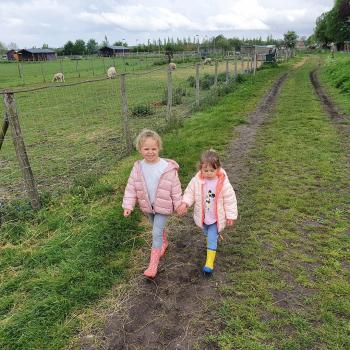 Babysitadres in Brugge: babysitadres Kevin