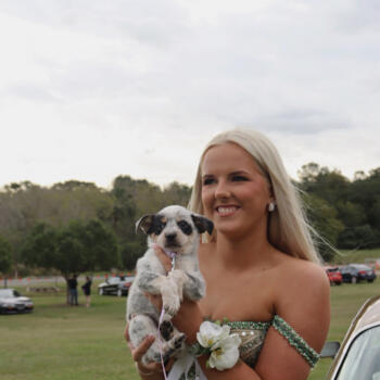 Babysitter in Gympie: Elle