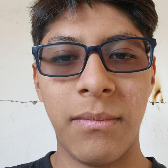 Niñera en Ciudad de México: Julian