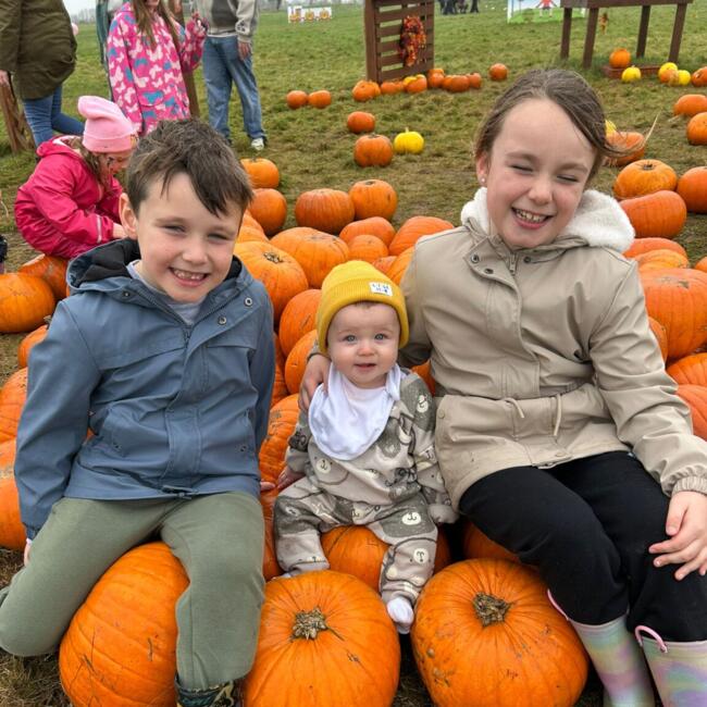 Babysitting job in Ballydangan: Ian