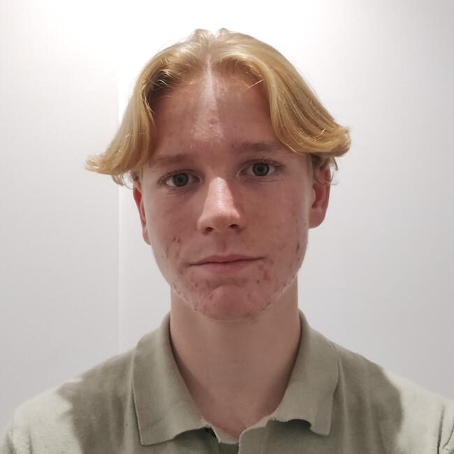 Babysitter in Lille: Oscar