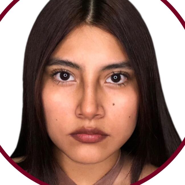 Niñera en Puente Piedra (Departamento de Lima): Camila Millones