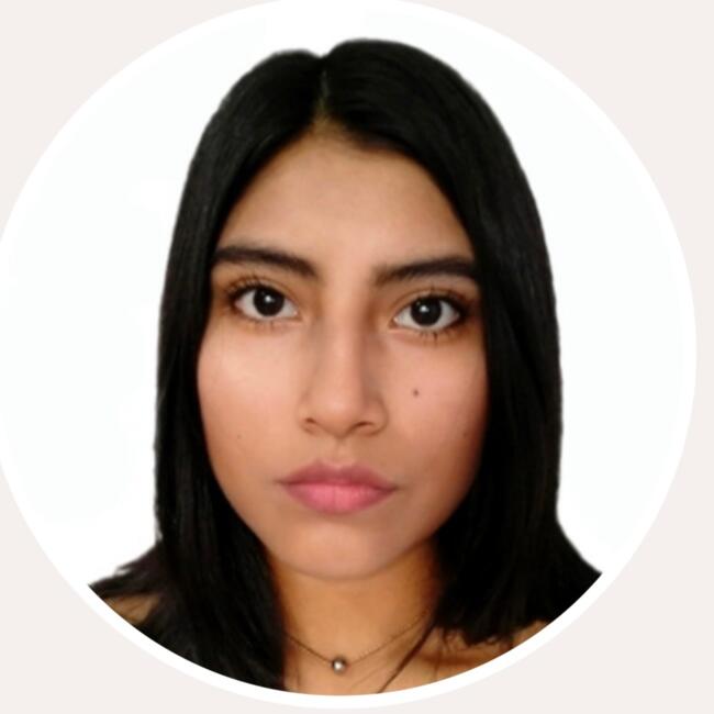 Babysitter in Puente Piedra (Departamento de Lima): Camila Millones