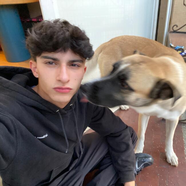 Babysitter in Milan: Lorenzo