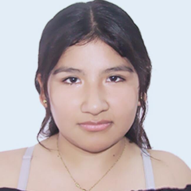 Niñera en Ate: Melany Fiorella Meneses Callo